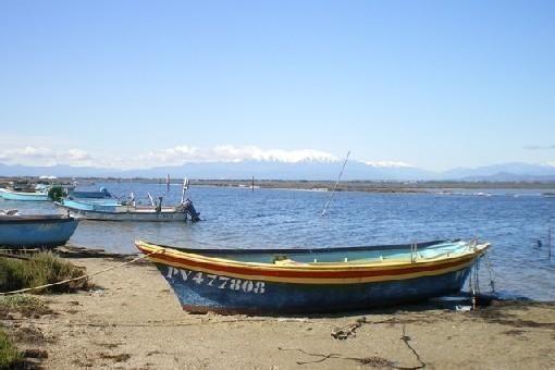 Villa 940 Sur L'Ile Des Pecheurs Le Barcarès Rum bild